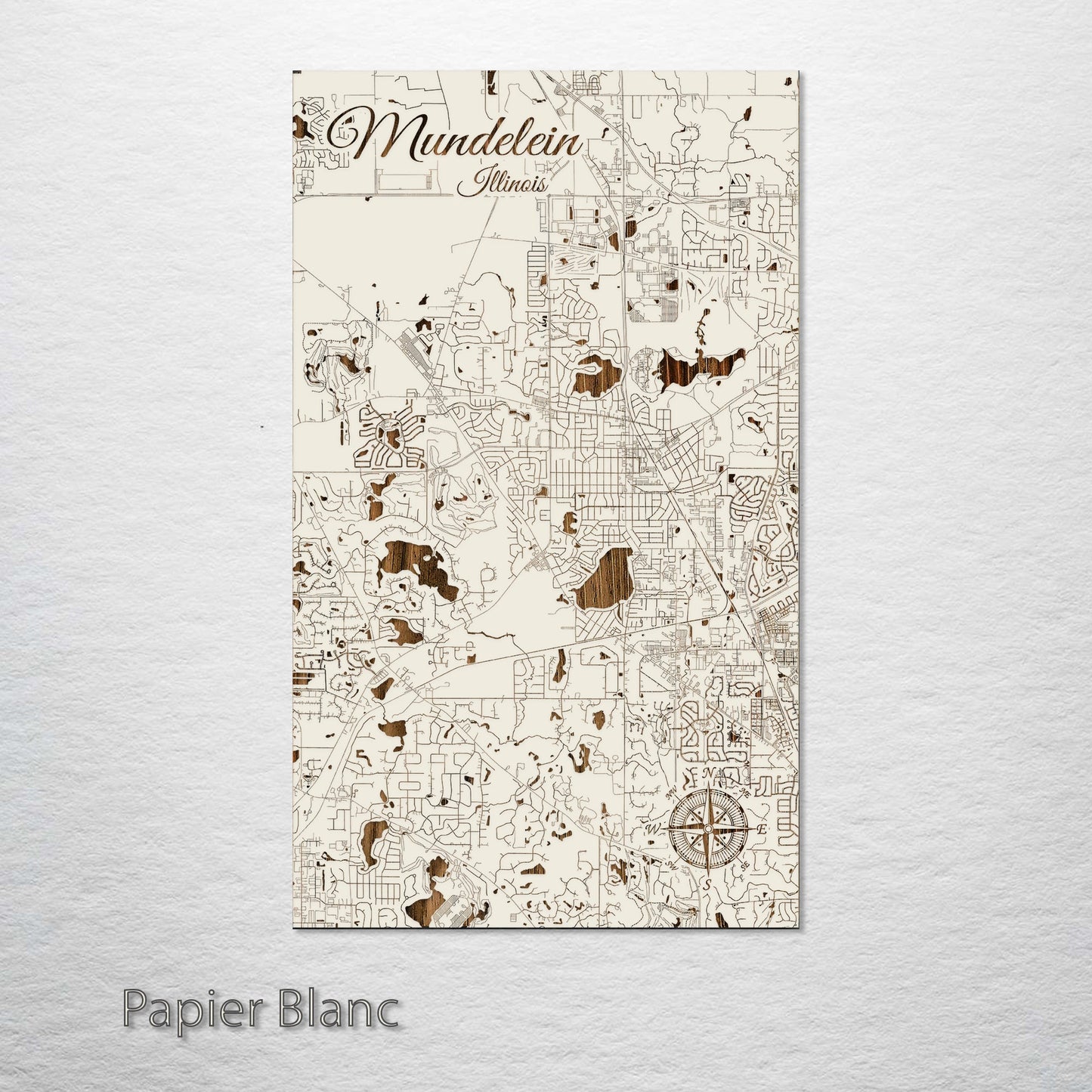 Mundelein, Illinois Street Map