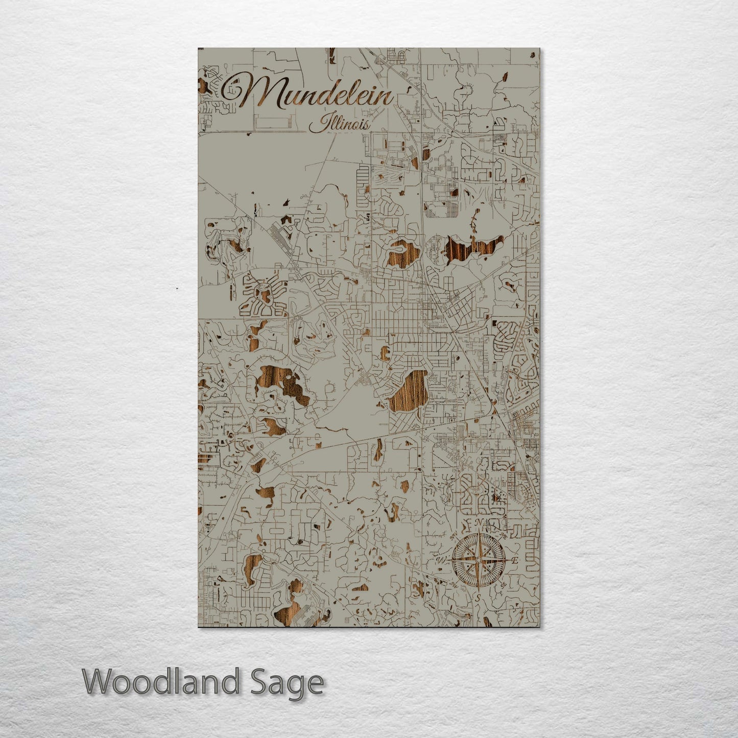 Mundelein, Illinois Street Map