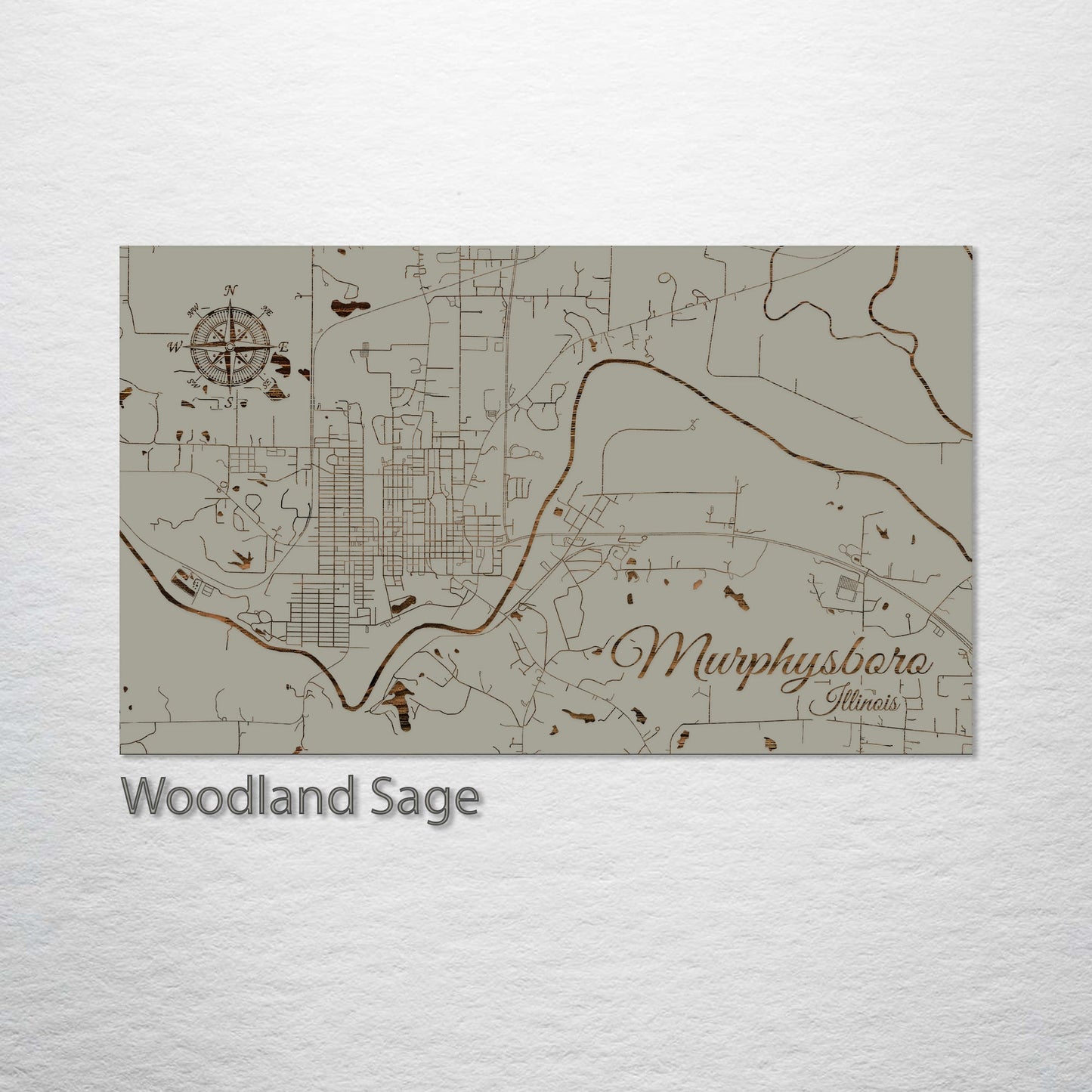 Murphysboro, Illinois Street Map