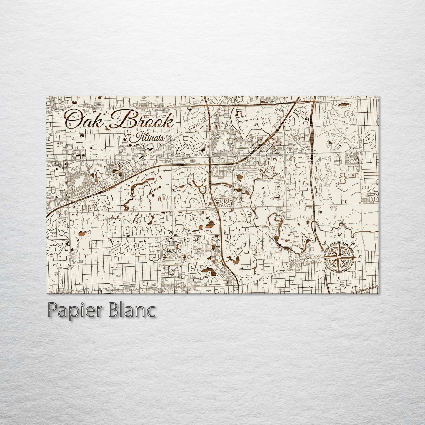 Oak Brook, Illinois Street Map