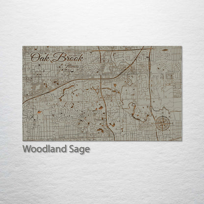 Oak Brook, Illinois Street Map