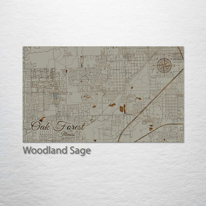 Oak Forest, Illinois Street Map