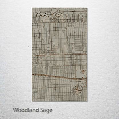 Oak Park, Illinois Street Map