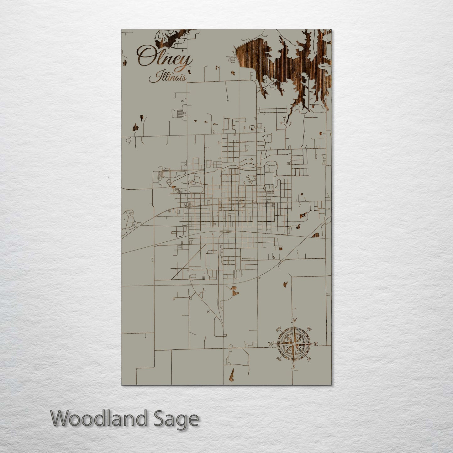 Olney, Illinois Street Map