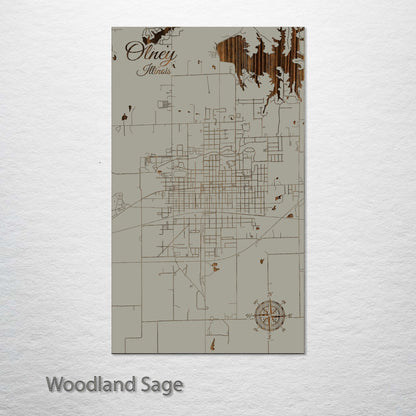 Olney, Illinois Street Map