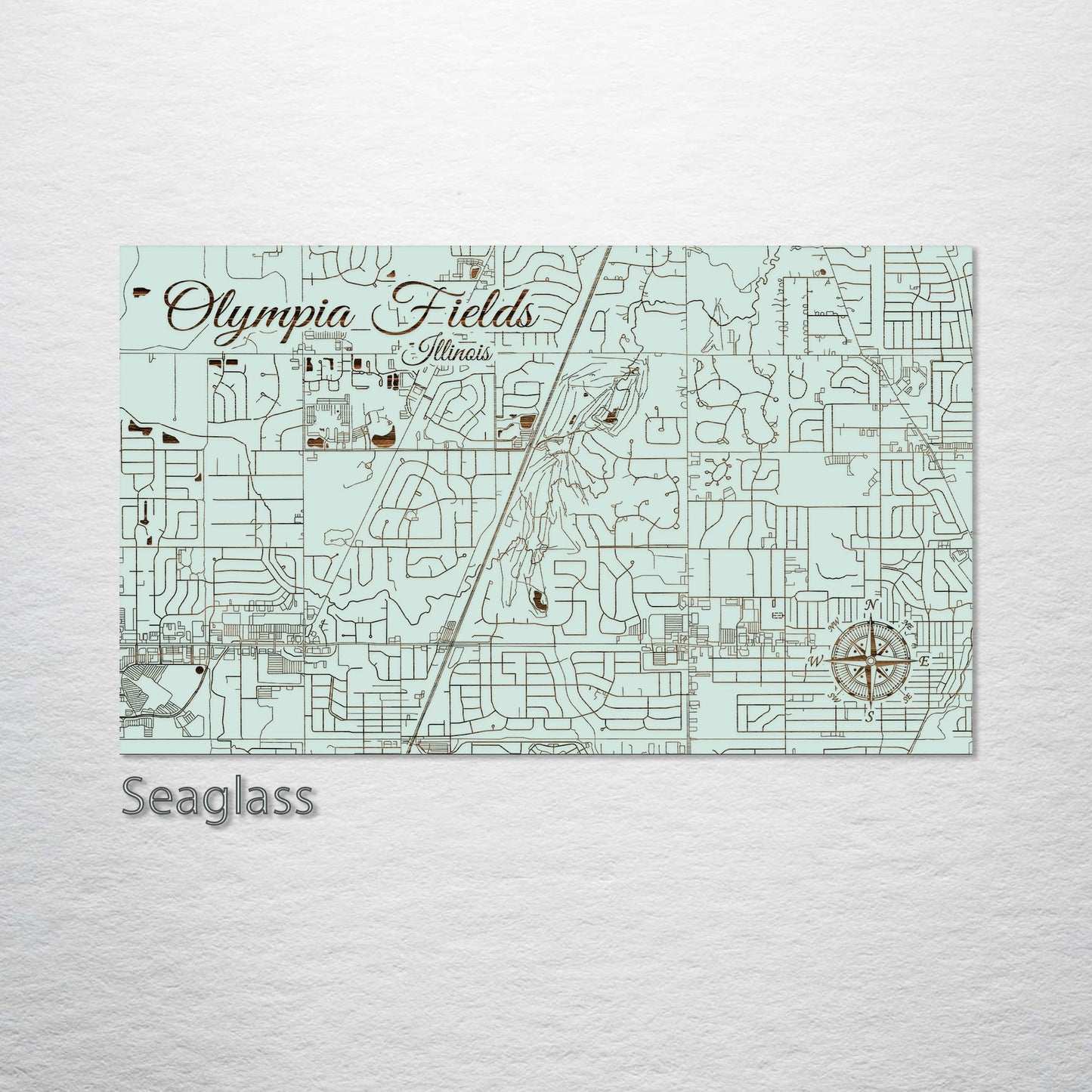 Olympia Fields, Illinois Street Map