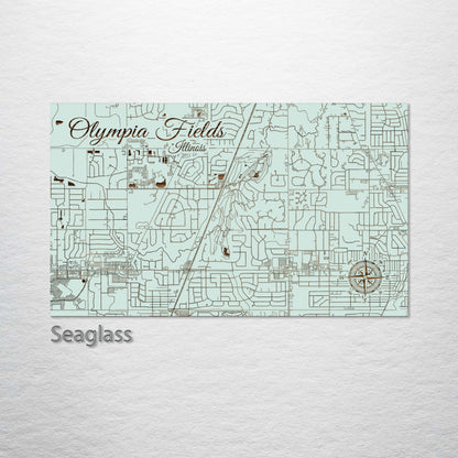 Olympia Fields, Illinois Street Map