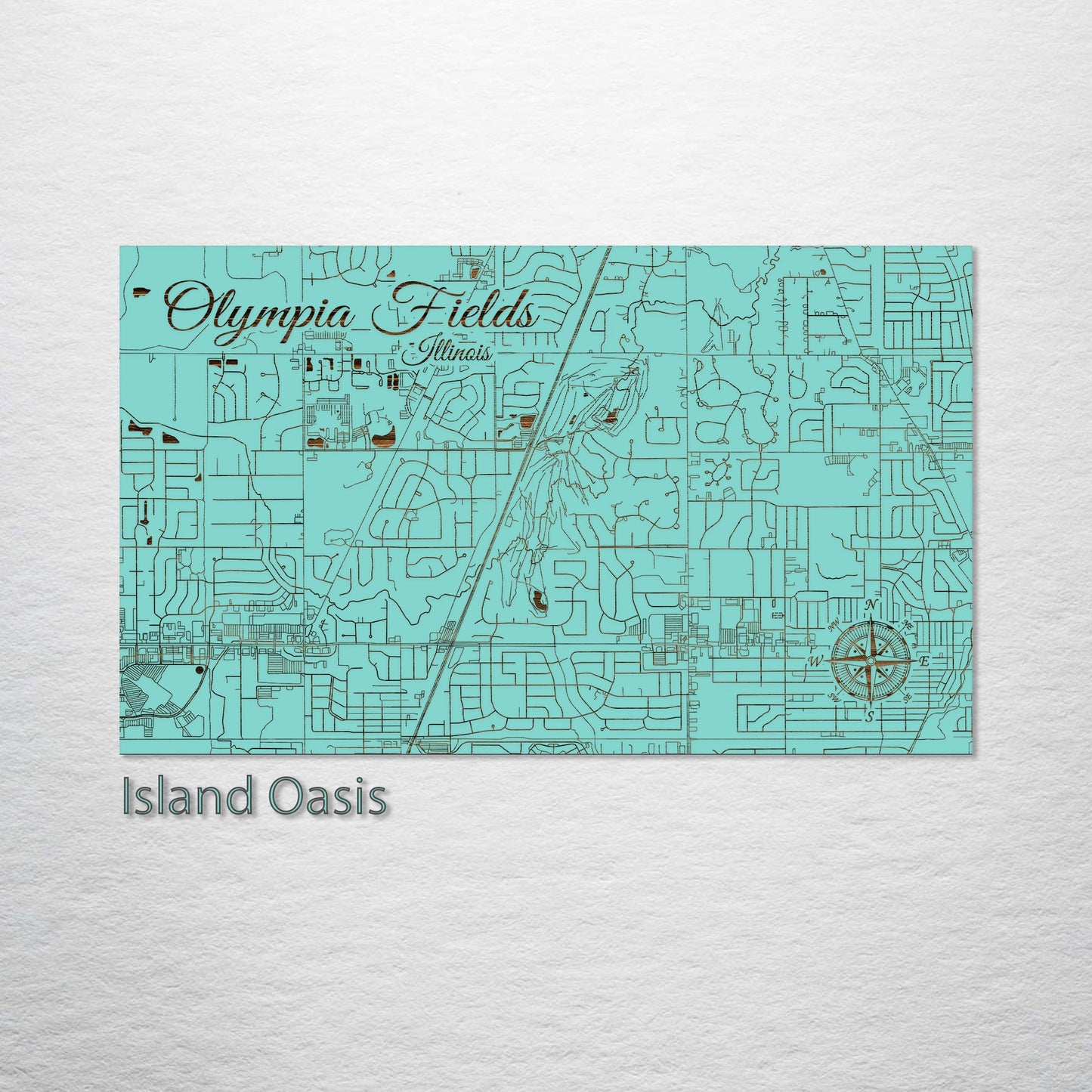 Olympia Fields, Illinois Street Map