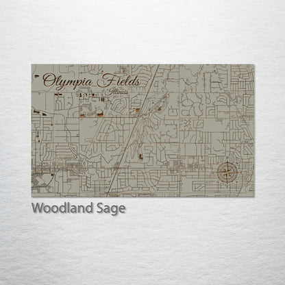 Olympia Fields, Illinois Street Map