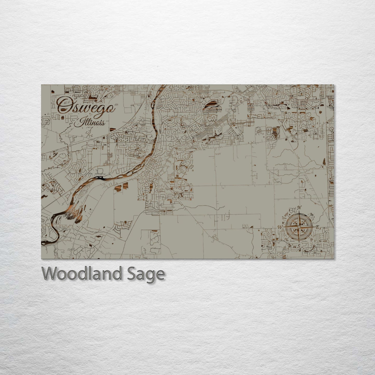 Oswego, Illinois Street Map