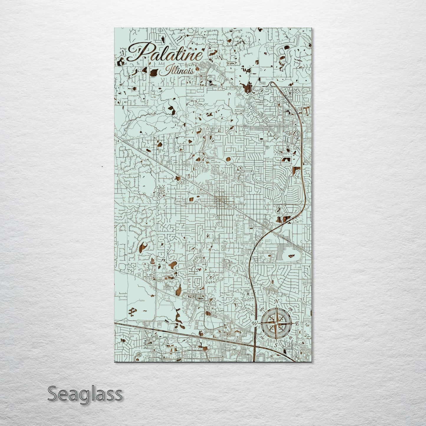 Palatine, Illinois Street Map