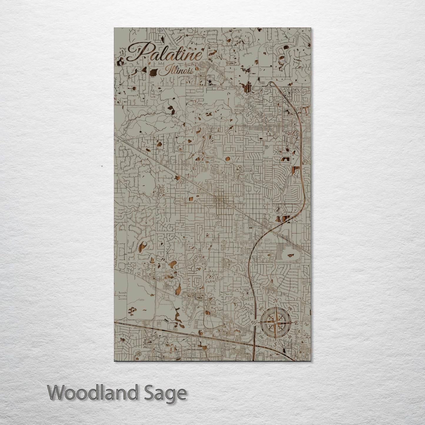 Palatine, Illinois Street Map