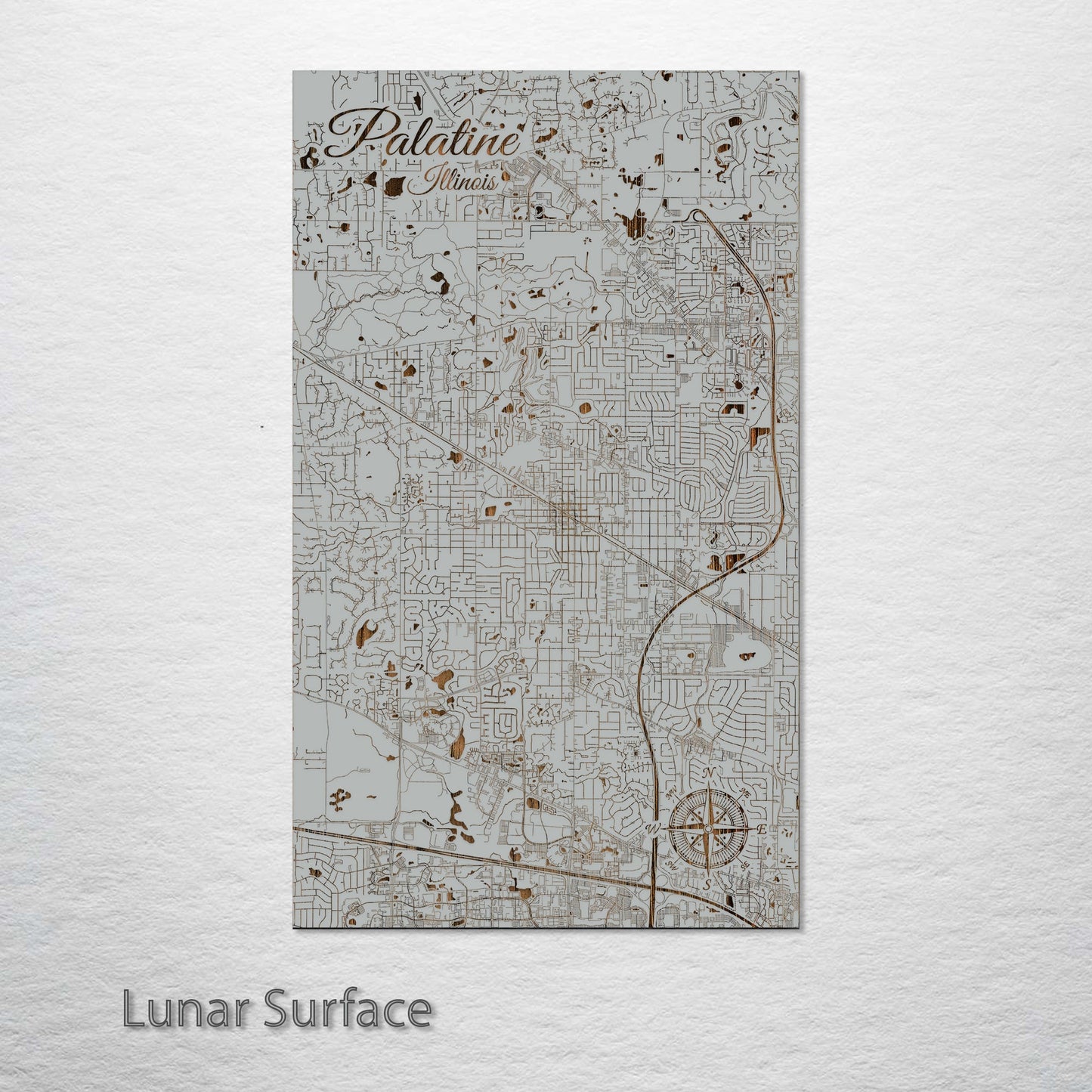 Palatine, Illinois Street Map