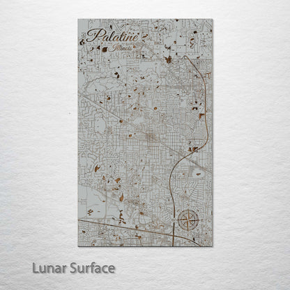 Palatine, Illinois Street Map