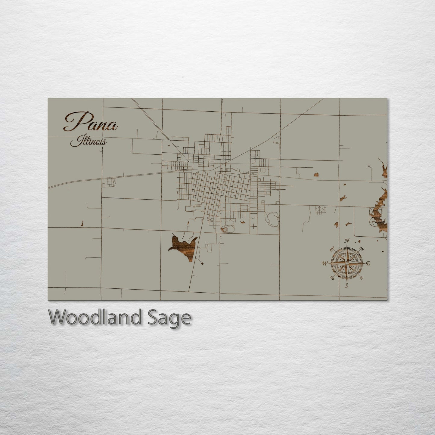 Pana, Illinois Street Map