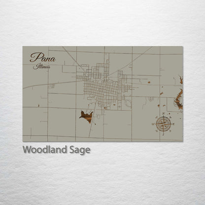 Pana, Illinois Street Map