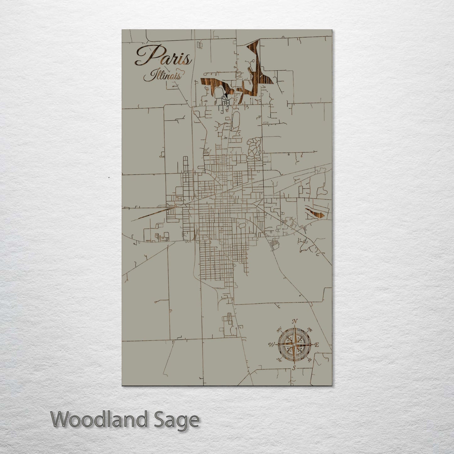 Paris, Illinois Street Map