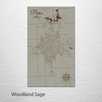 Paris, Illinois Street Map