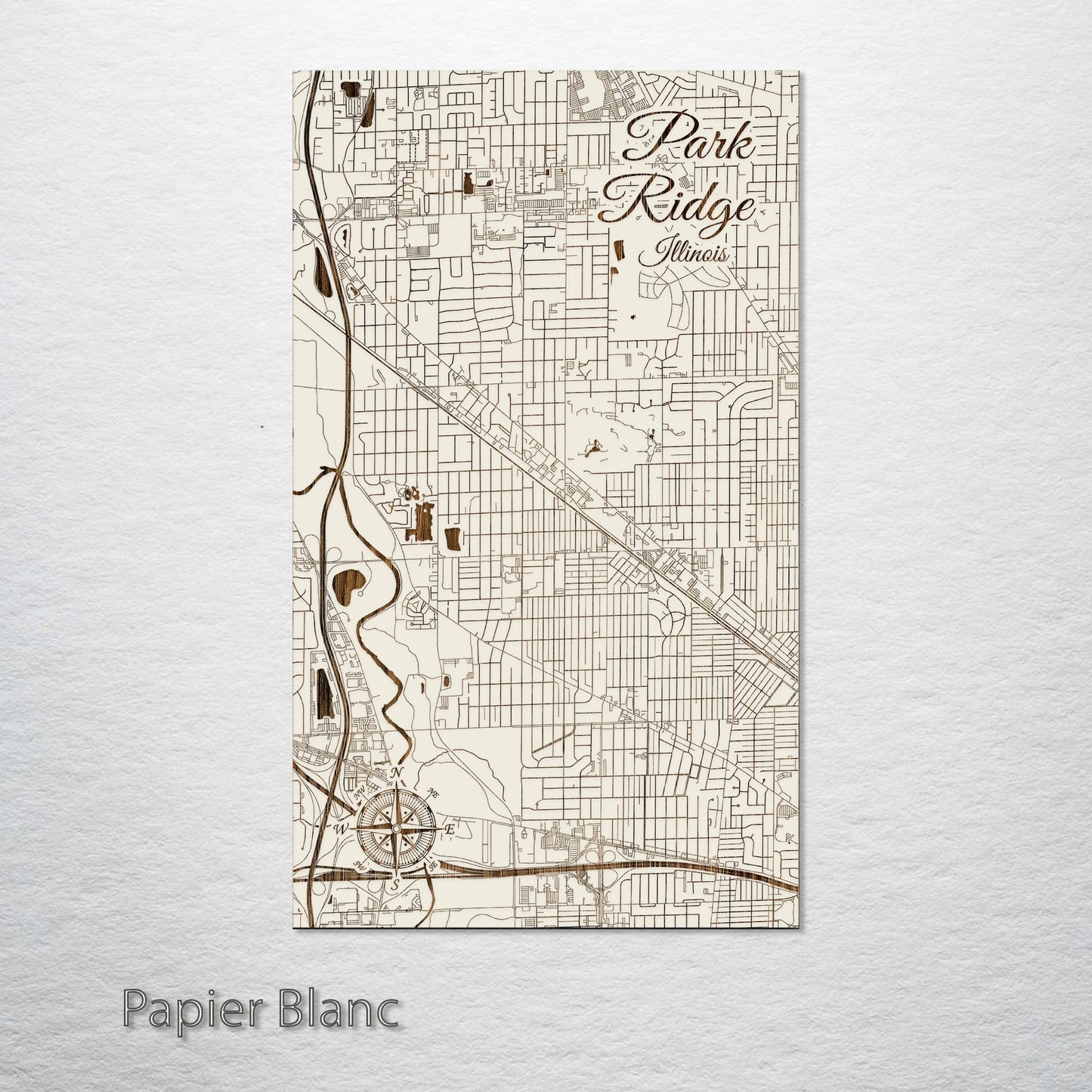 Park Ridge, Illinois Street Map