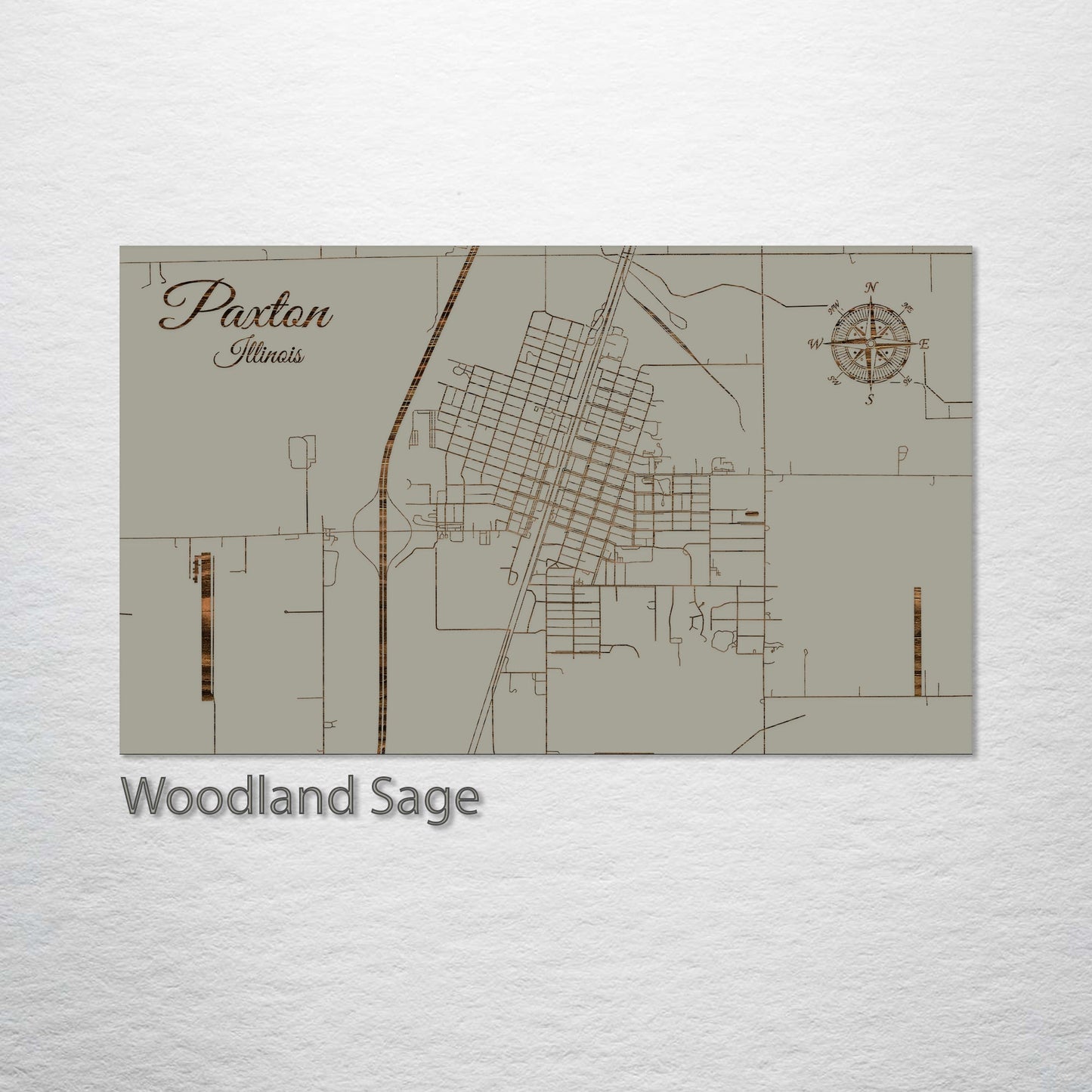 Paxton, Illinois Street Map