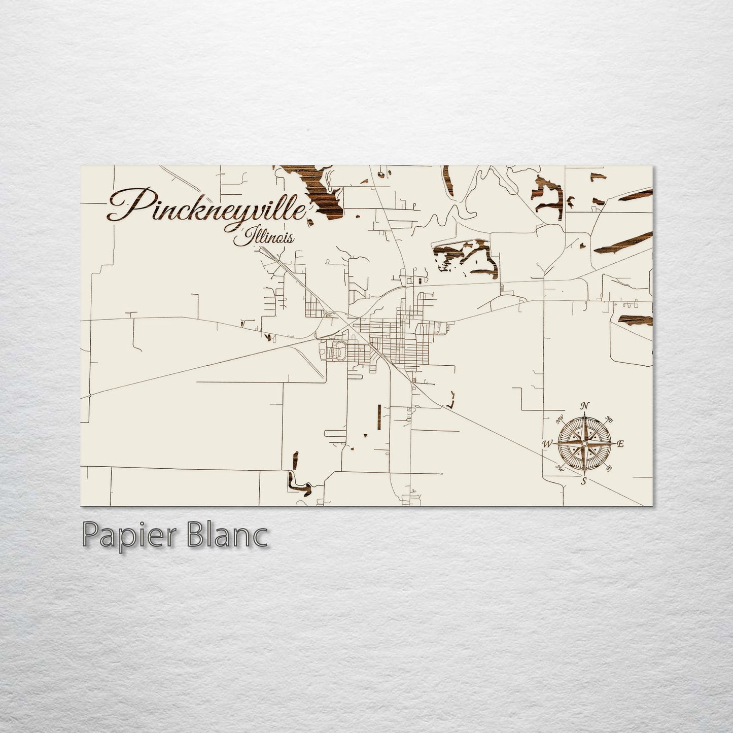 Pinckneyville, Illinois Street Map
