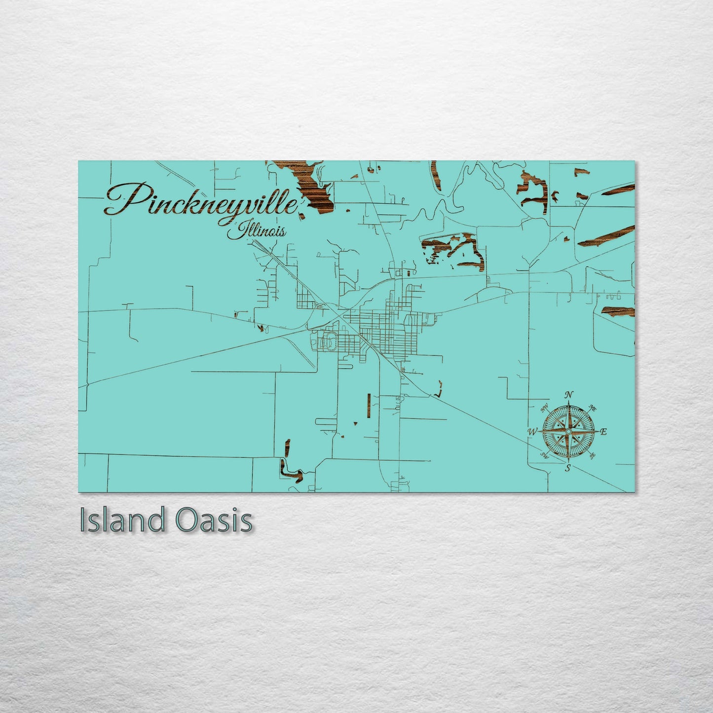 Pinckneyville, Illinois Street Map