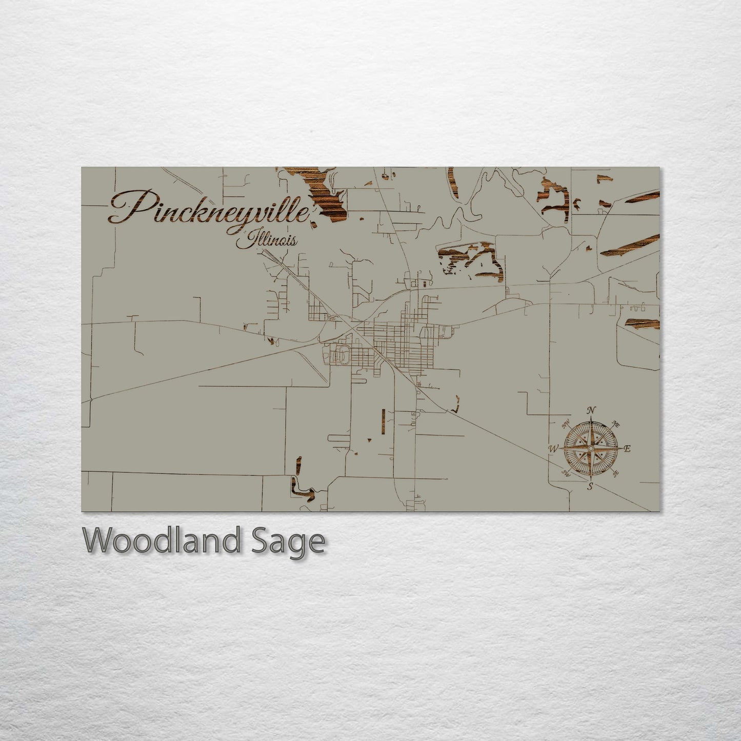 Pinckneyville, Illinois Street Map