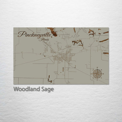 Pinckneyville, Illinois Street Map