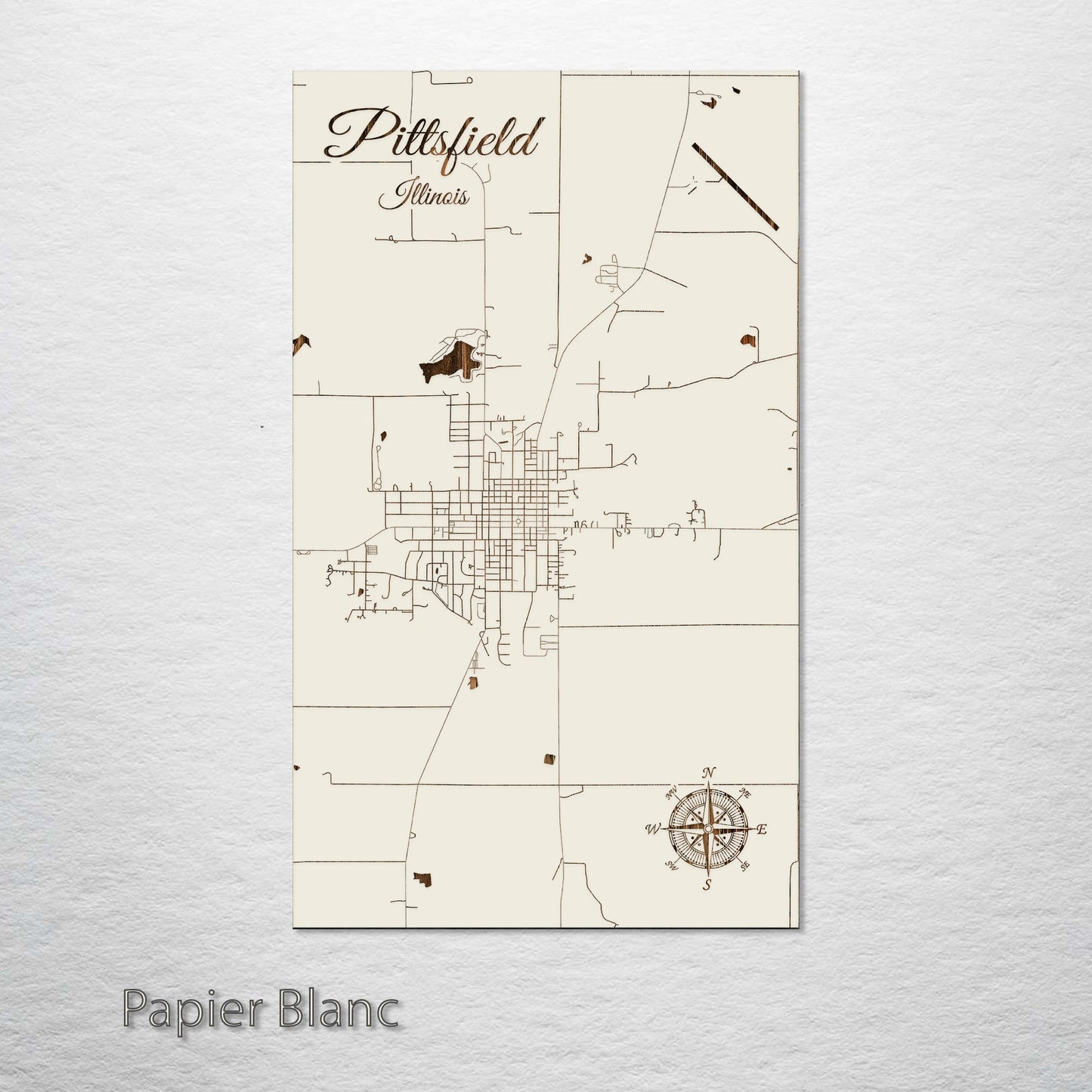 Pittsfield, Illinois Street Map