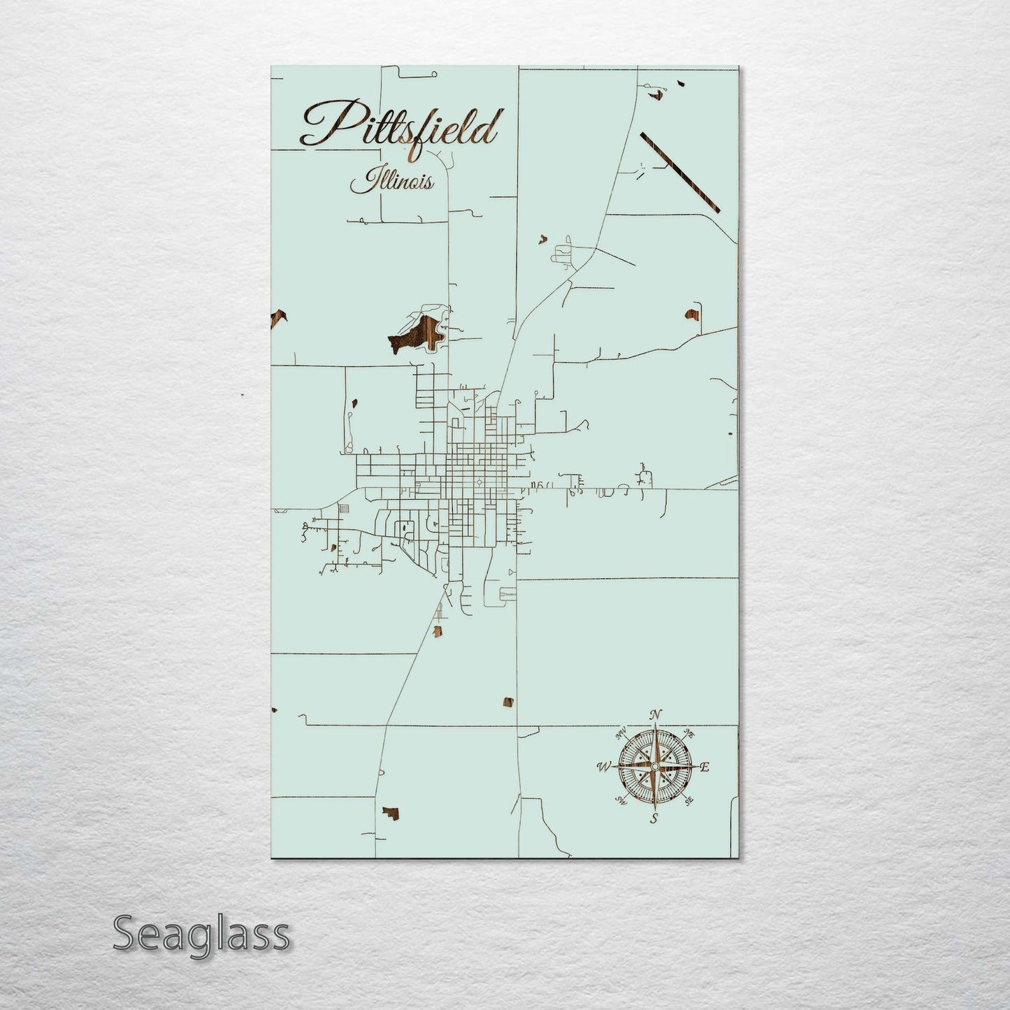 Pittsfield, Illinois Street Map