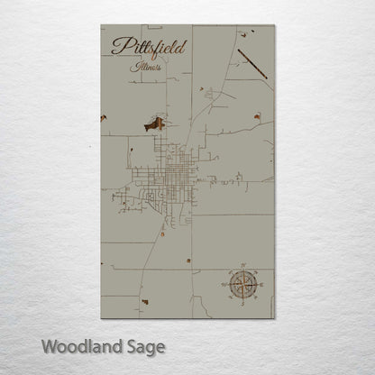 Pittsfield, Illinois Street Map