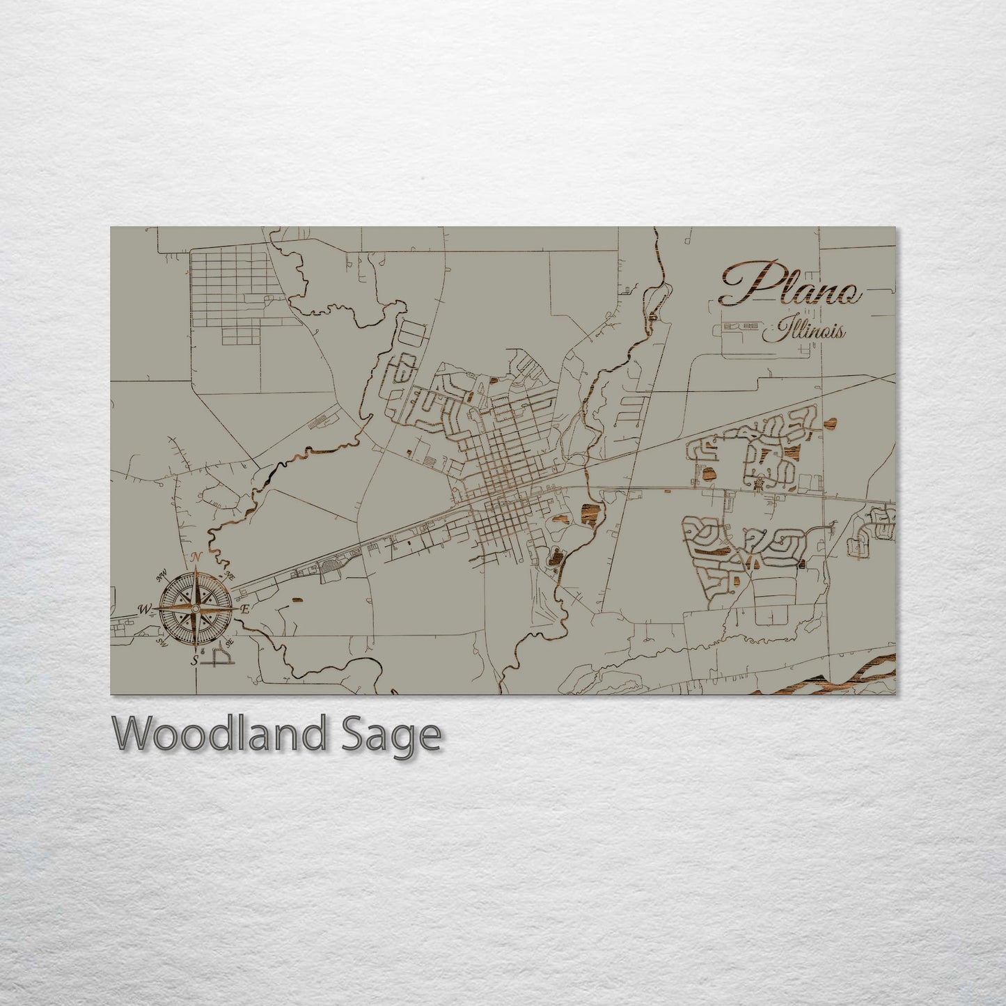 Plano, Illinois Street Map