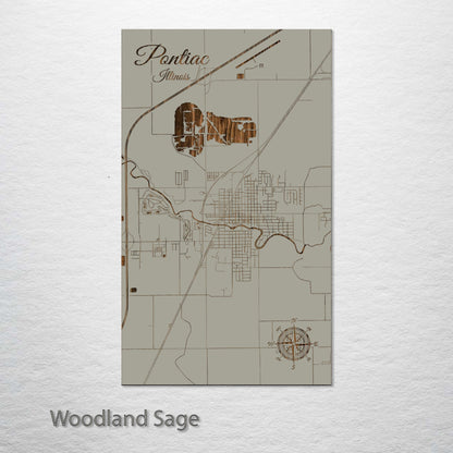 Pontiac, Illinois Street Map