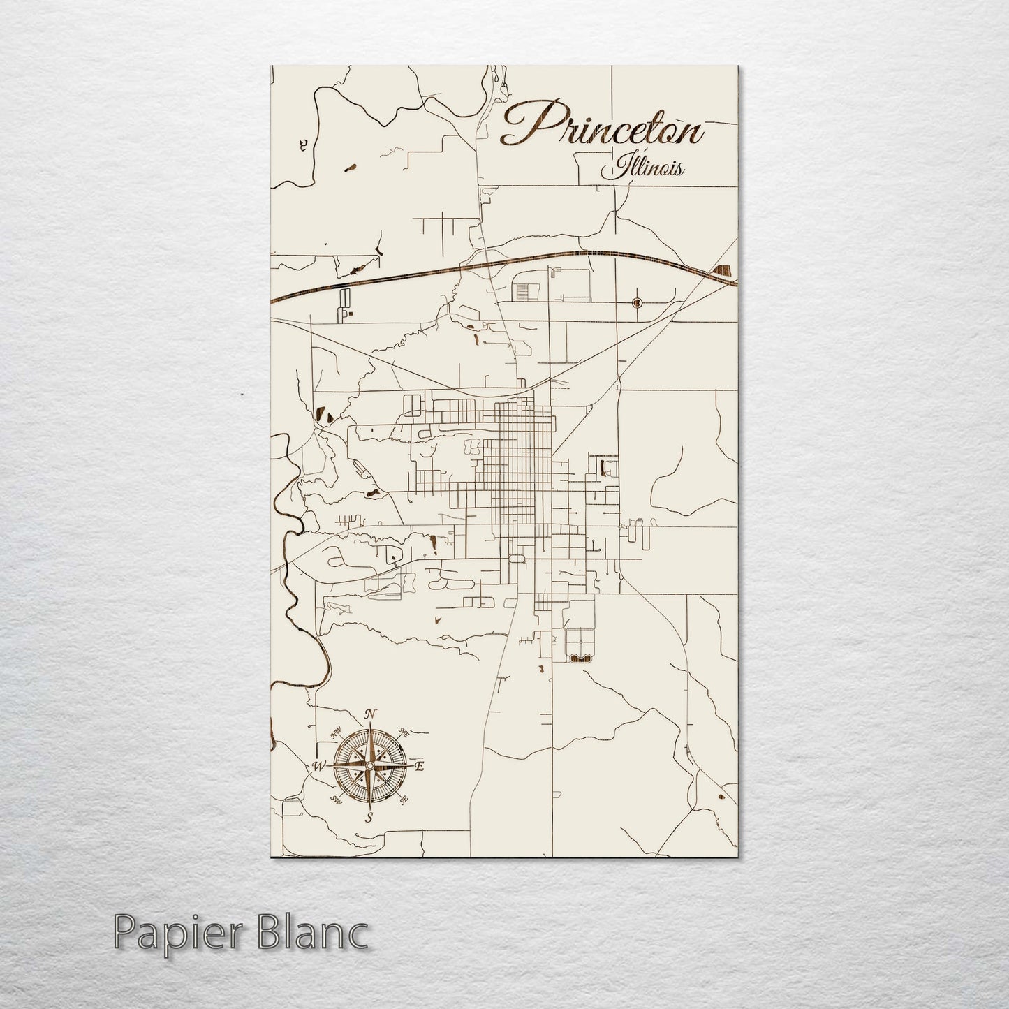 Princeton, Illinois Street Map
