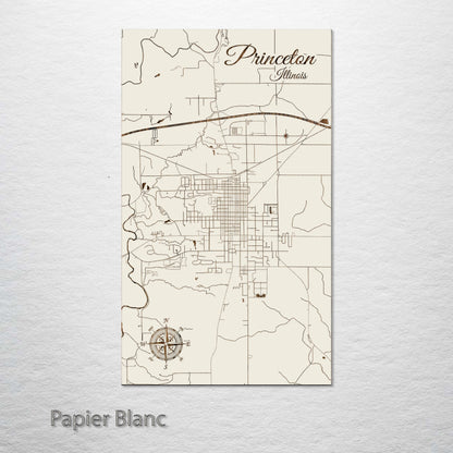 Princeton, Illinois Street Map