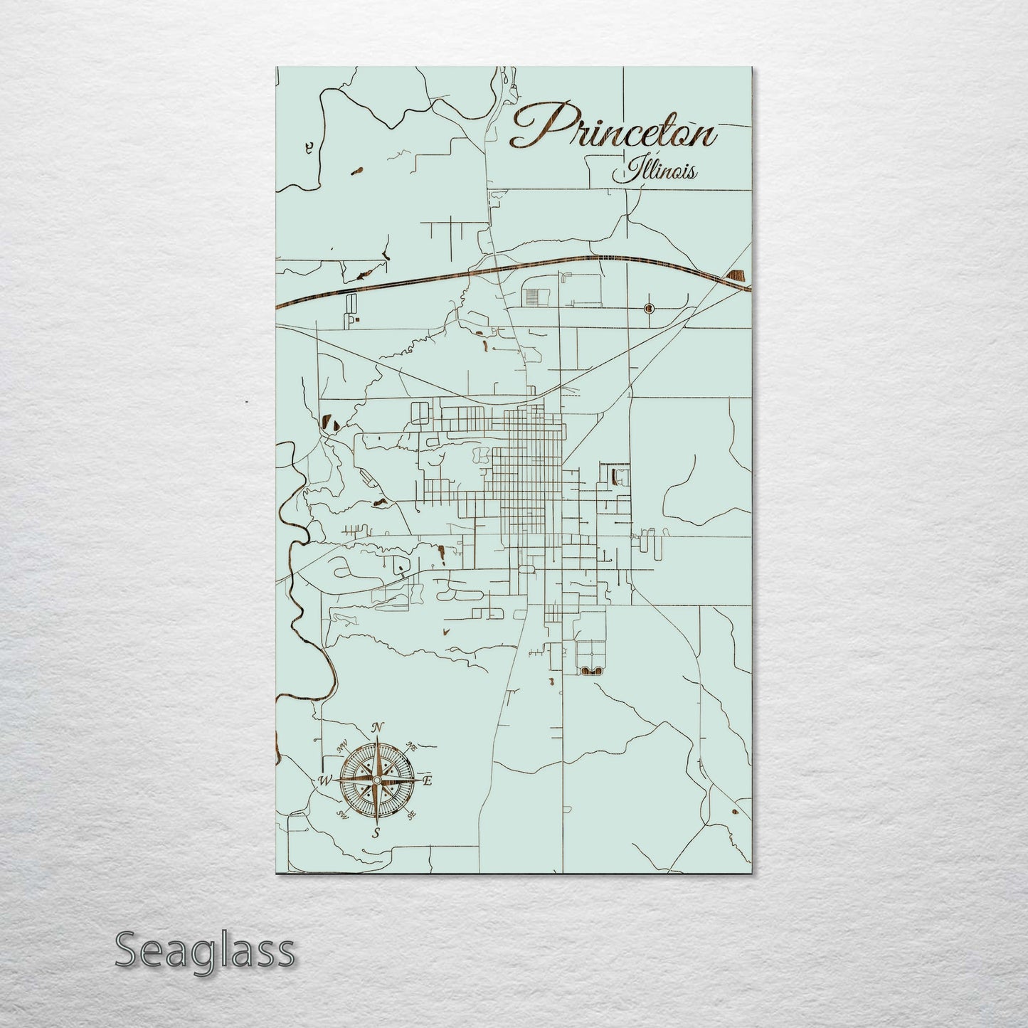 Princeton, Illinois Street Map
