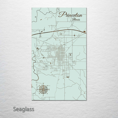 Princeton, Illinois Street Map