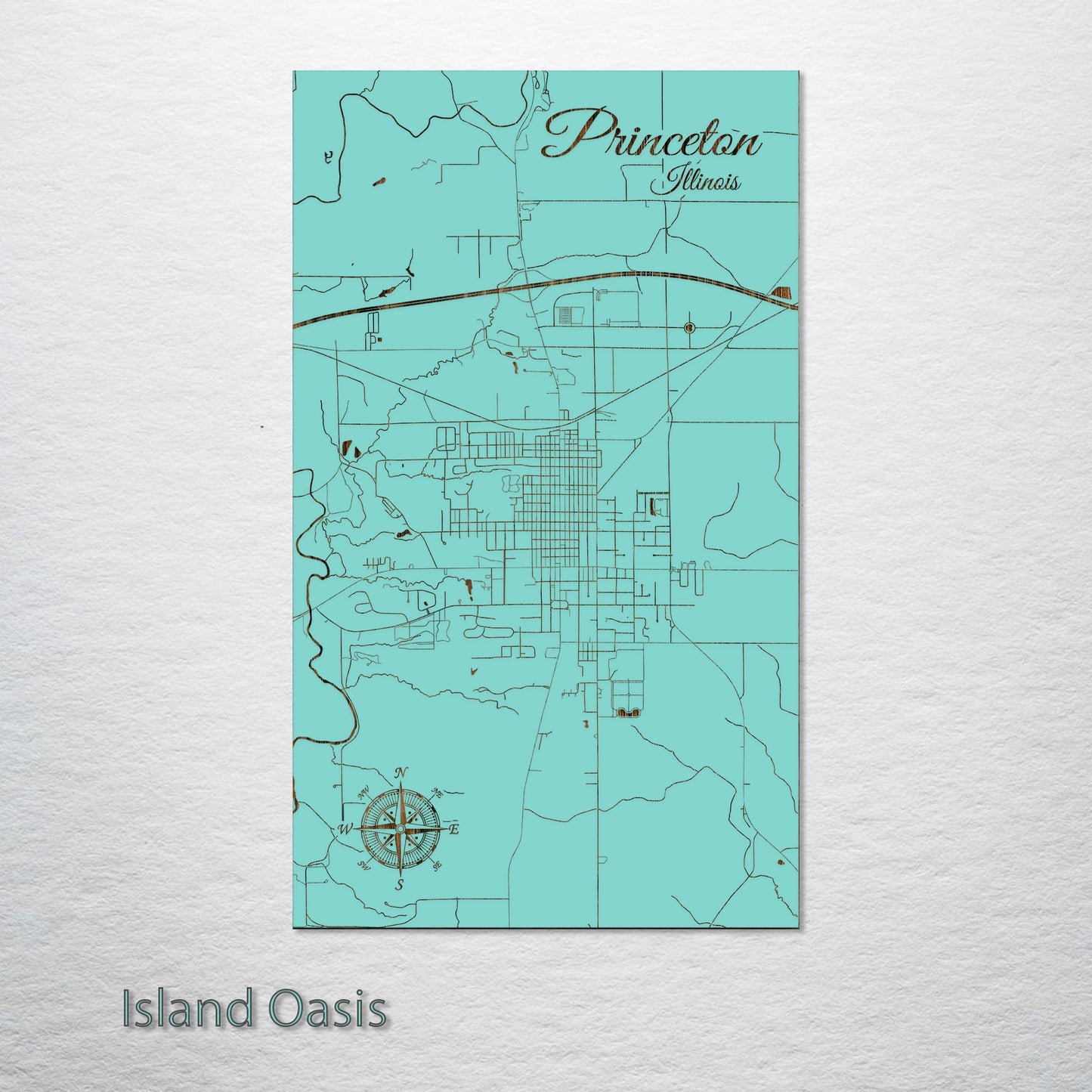 Princeton, Illinois Street Map