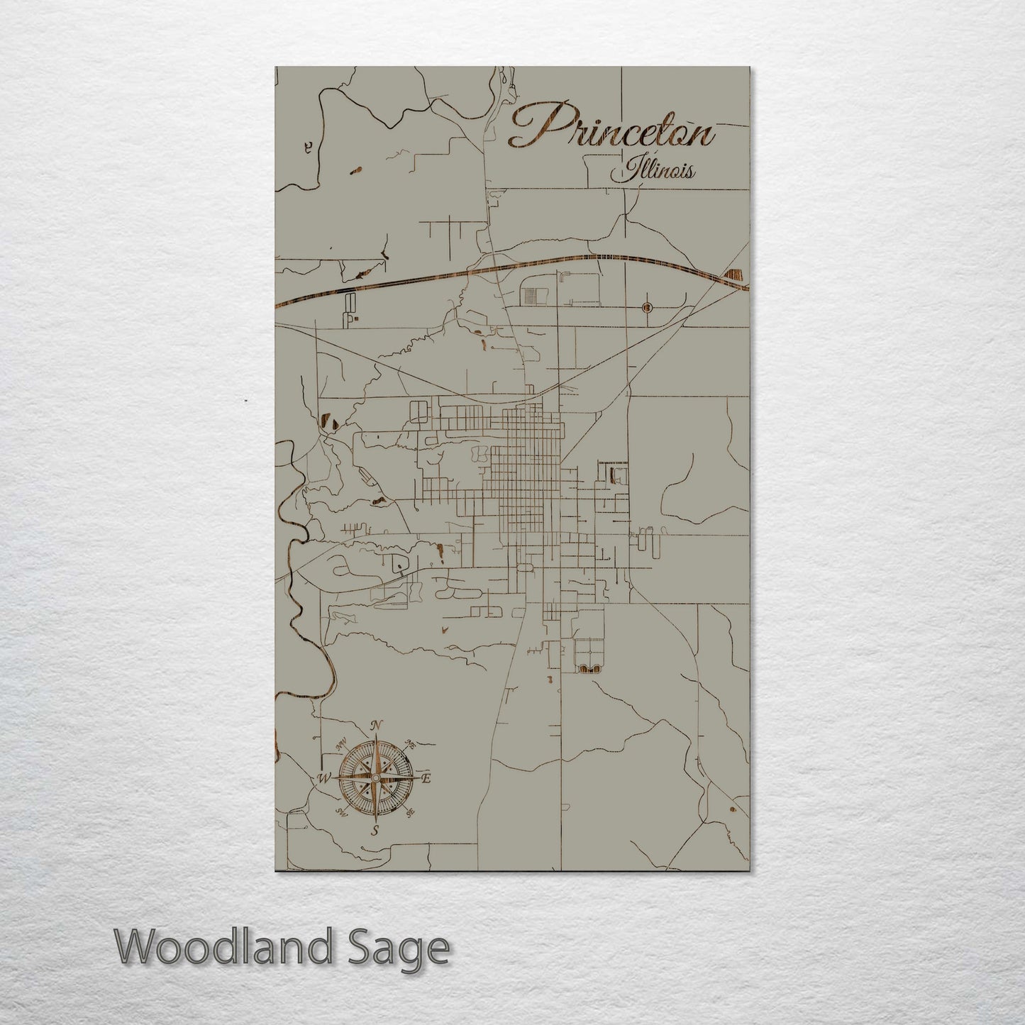 Princeton, Illinois Street Map