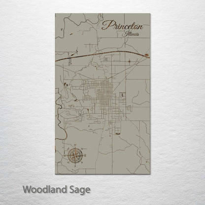 Princeton, Illinois Street Map