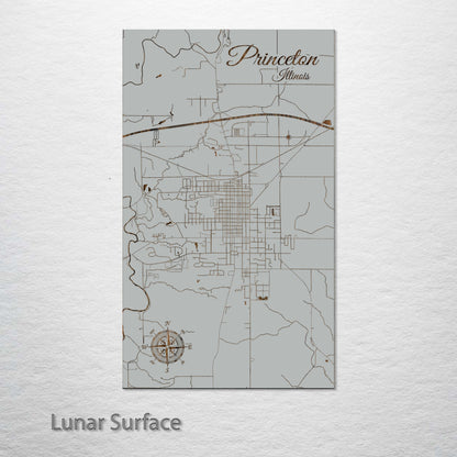 Princeton, Illinois Street Map