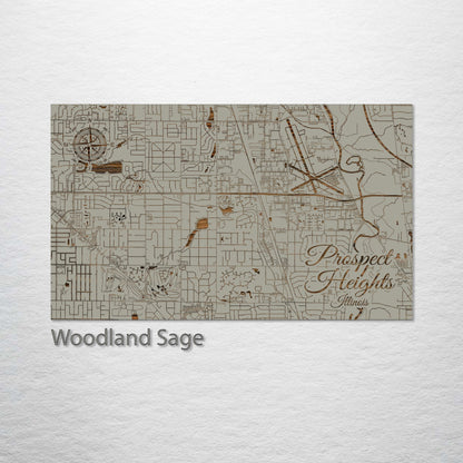 Prospect Heights, Illinois Street Map