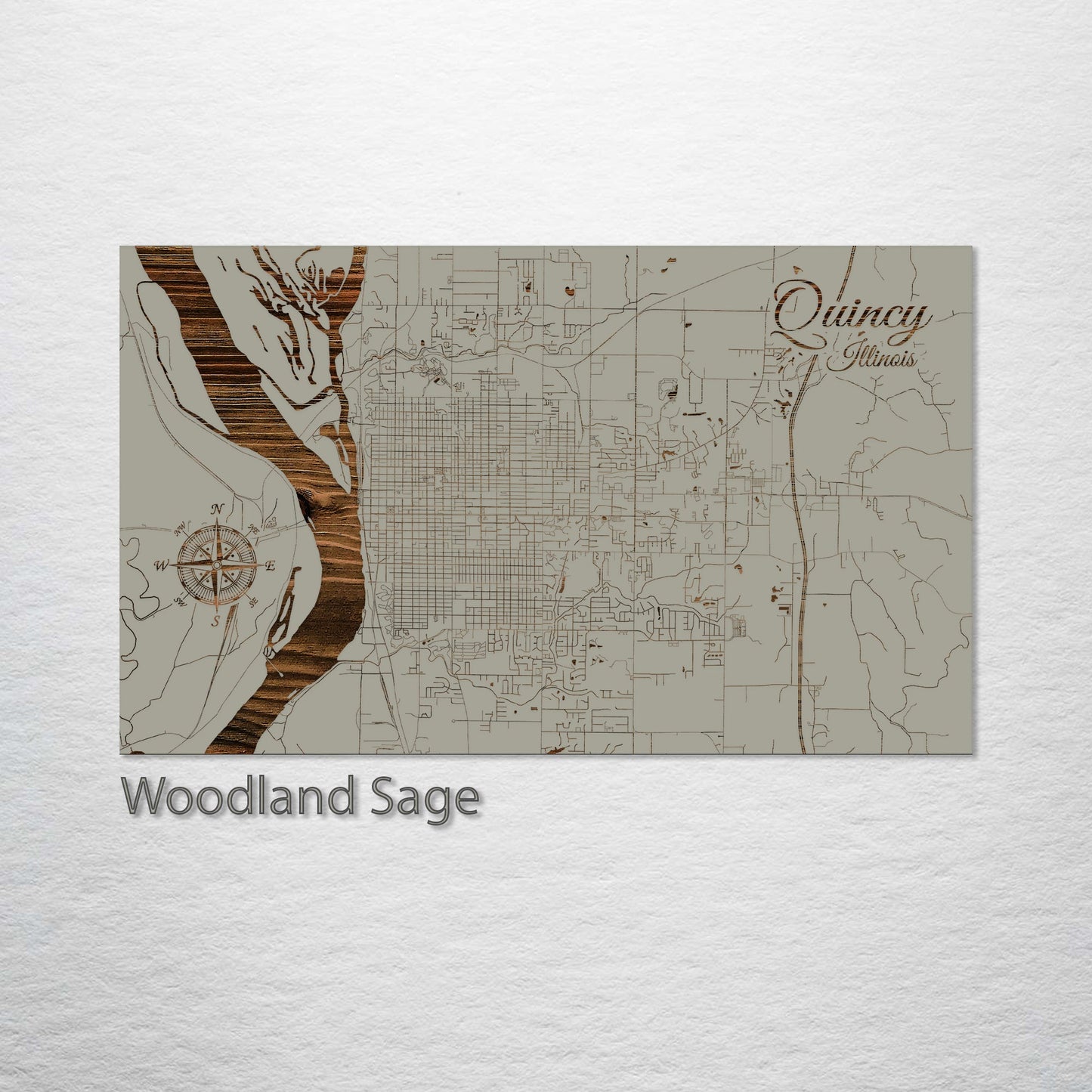 Quincy, Illinois Street Map