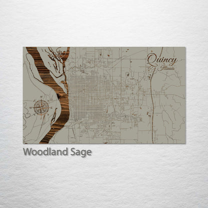 Quincy, Illinois Street Map