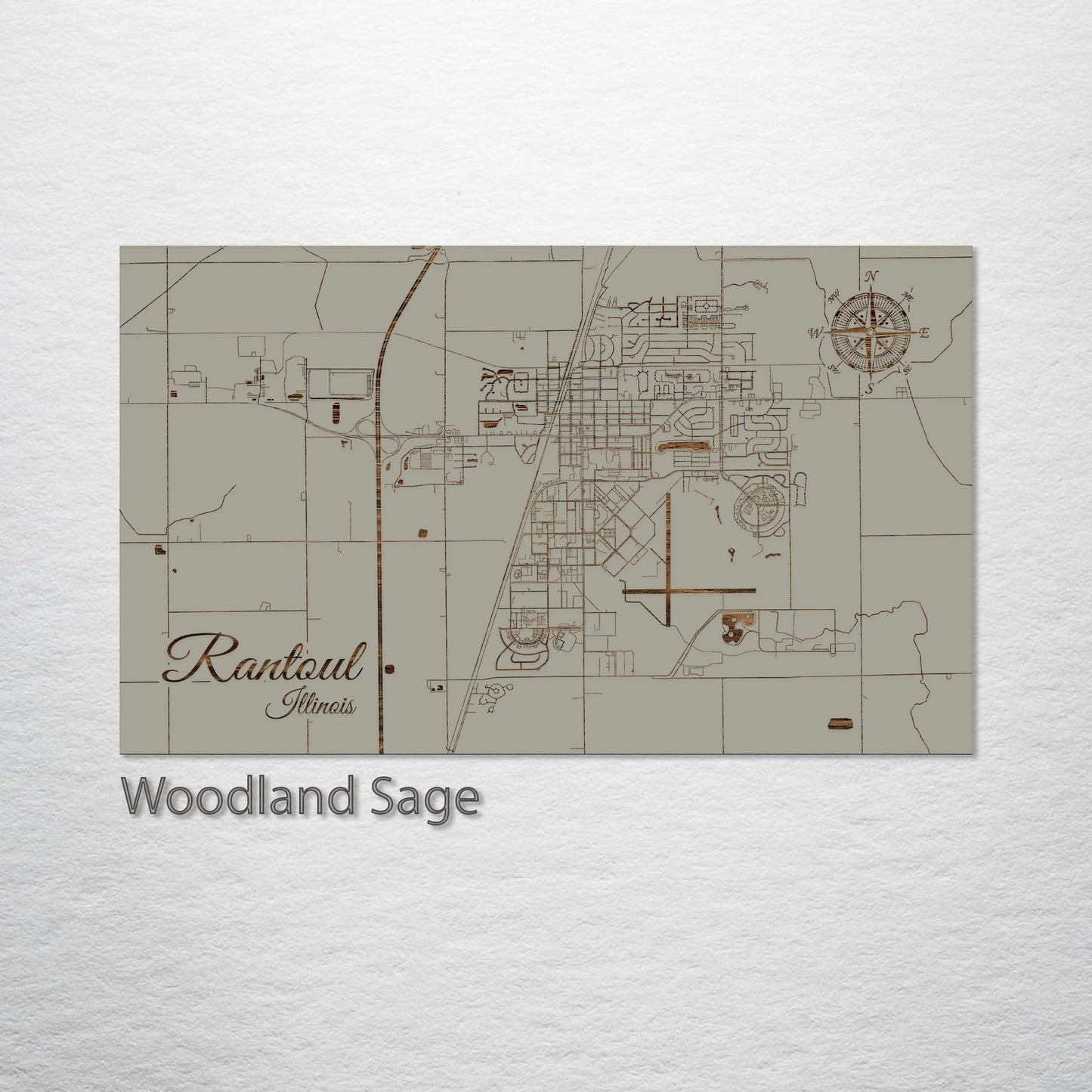 Rantoul, Illinois Street Map