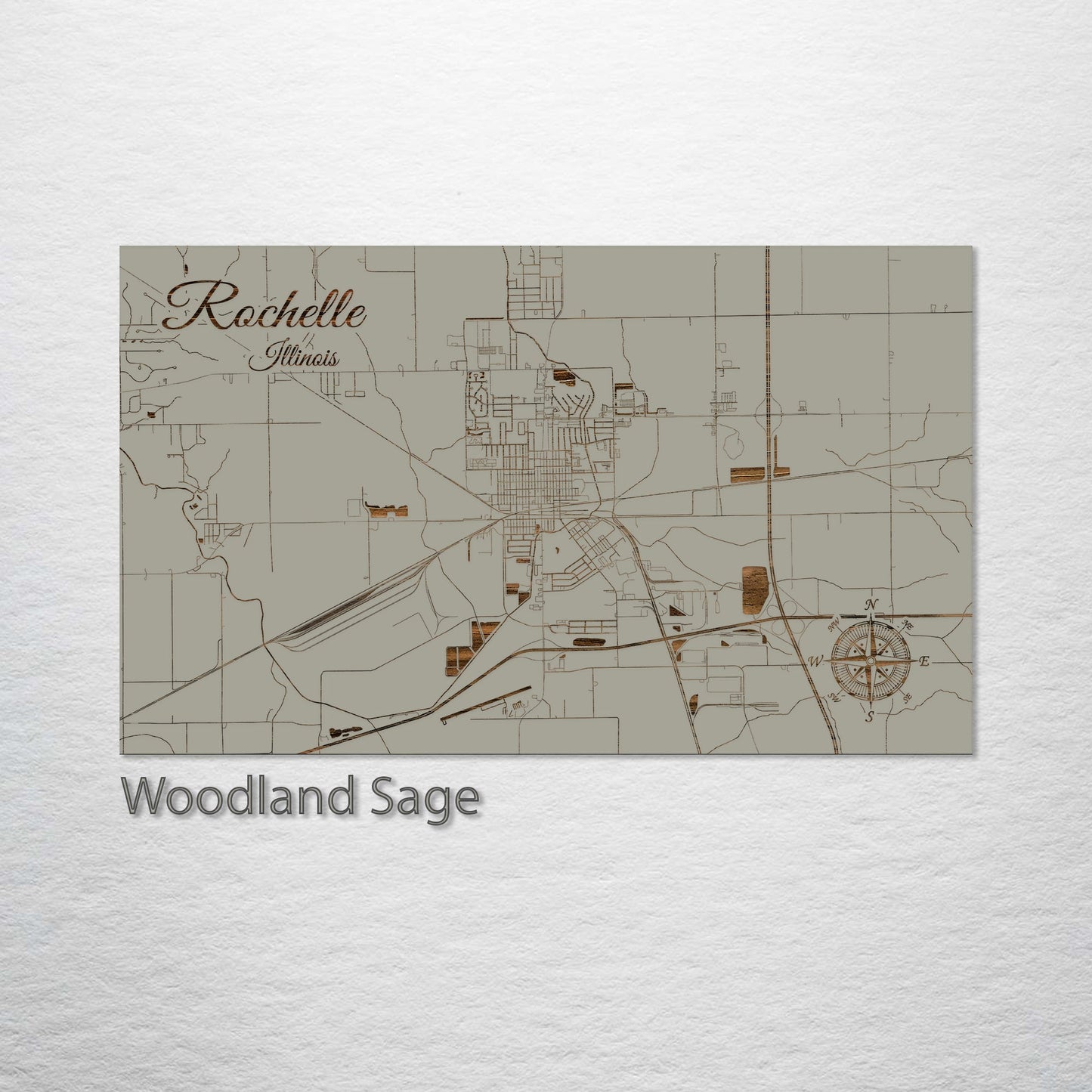 Rochelle, Illinois Street Map