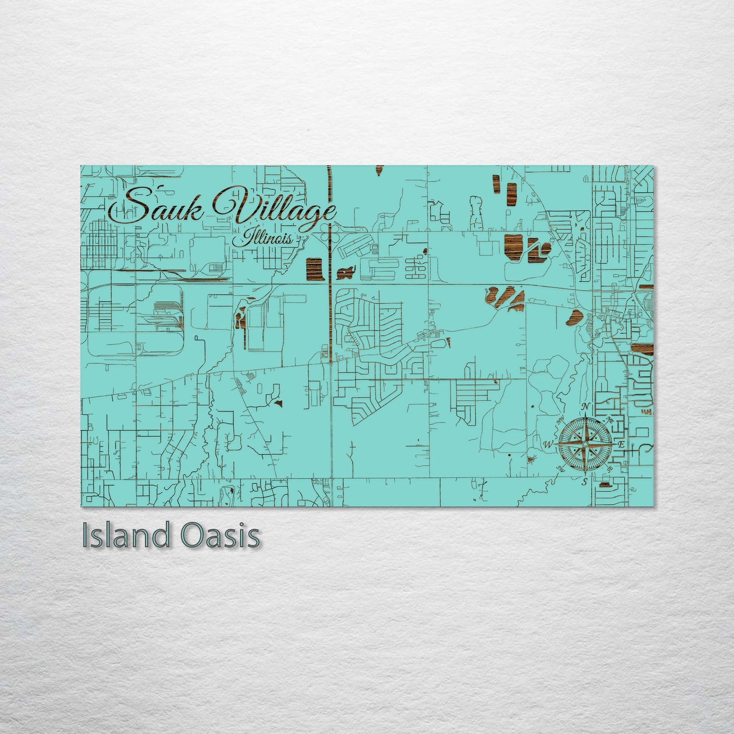 Sauk Village, Illinois Street Map