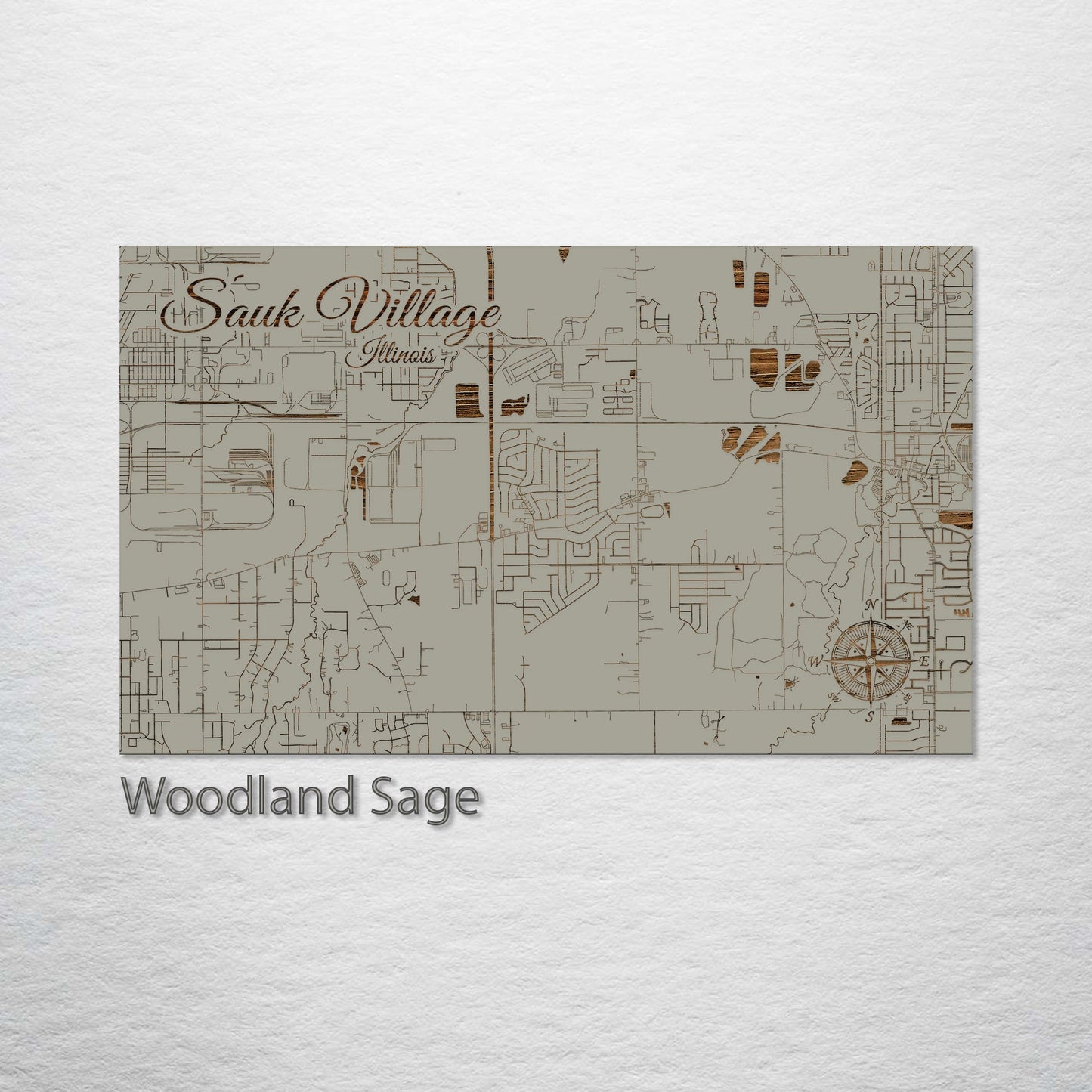 Sauk Village, Illinois Street Map