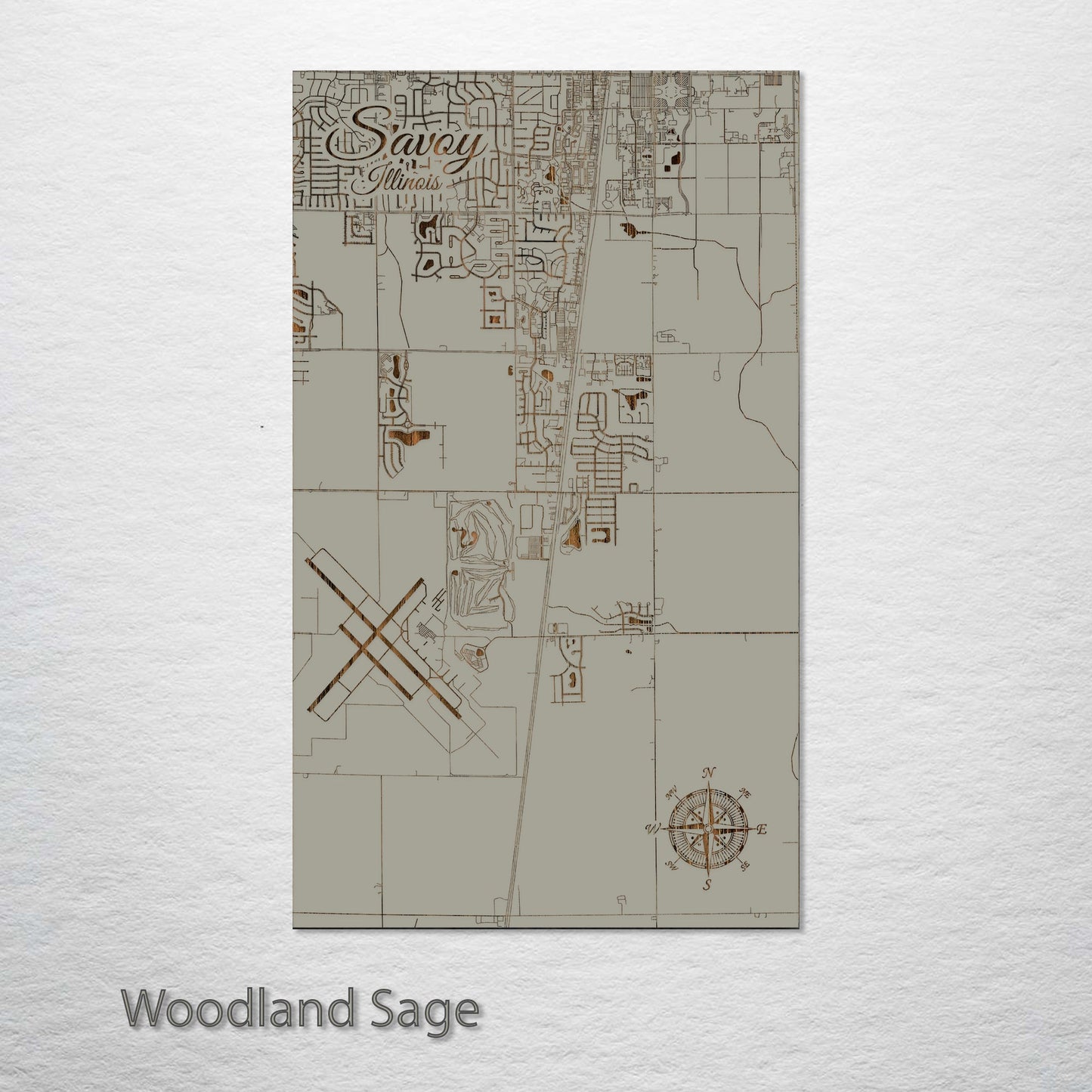 Savoy, Illinois Street Map