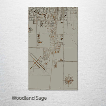 Savoy, Illinois Street Map